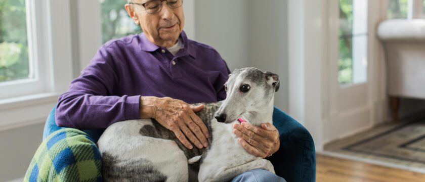 Elderly man happily holding dog highlighting benefit of pets
